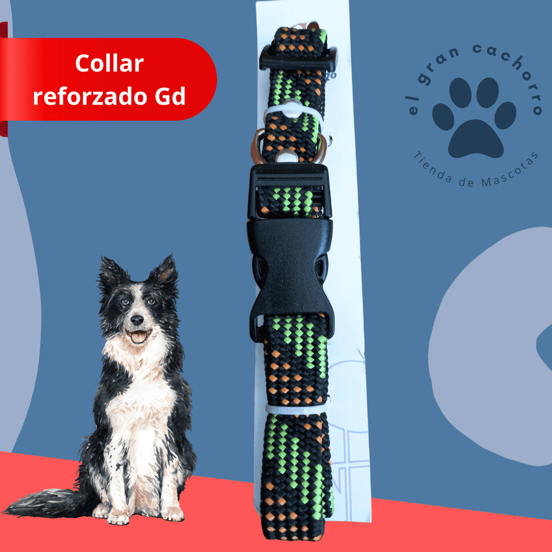 Collar reforzado Grande varios estilos