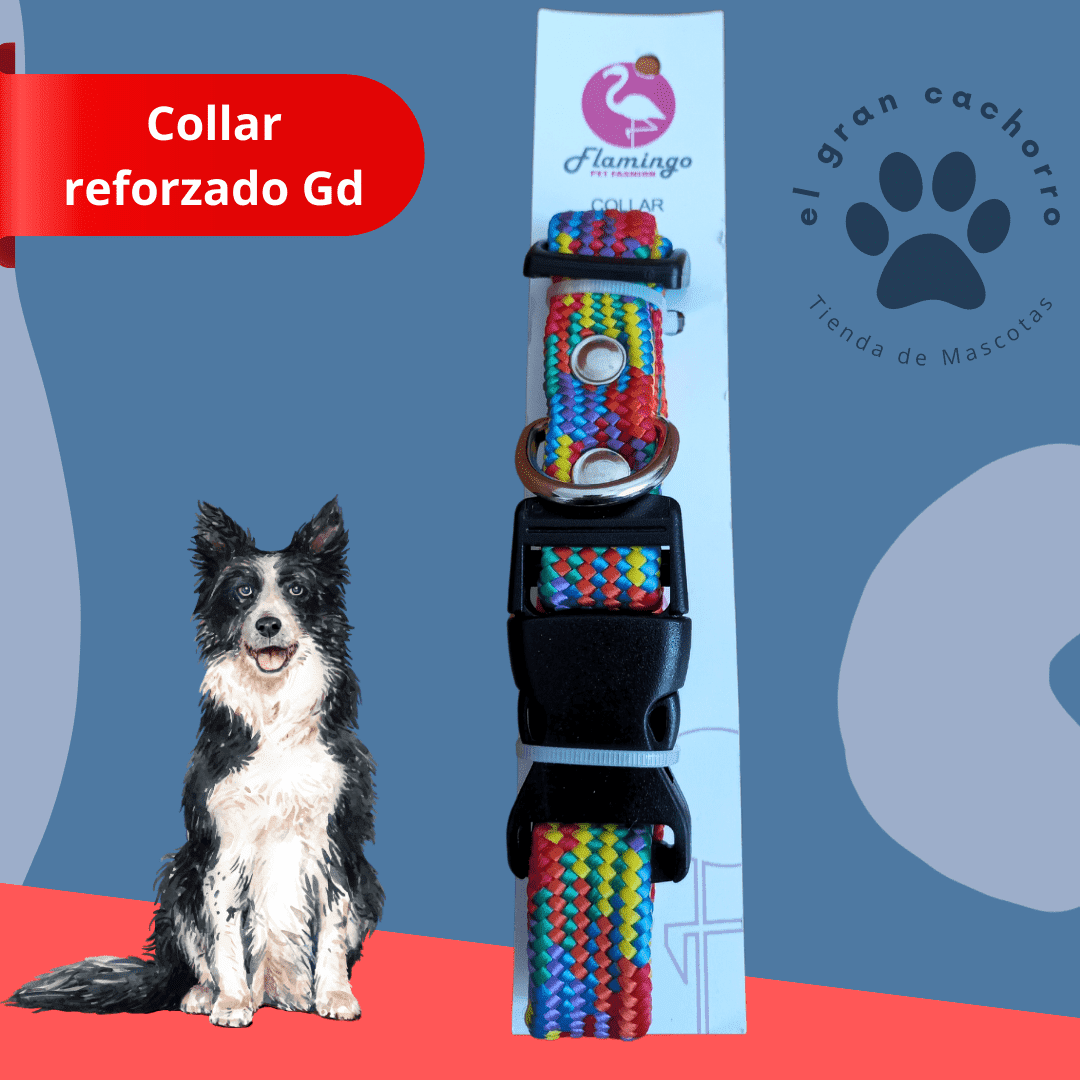 Collar reforzado Grande varios estilos