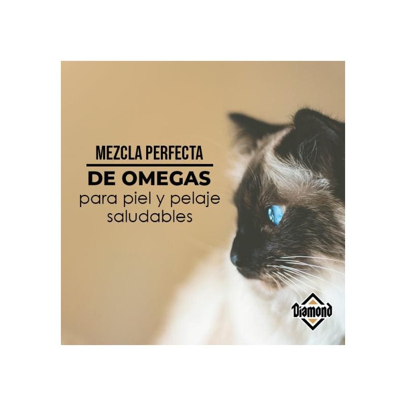 Diamond Maintenance CAT para Gato Adulto