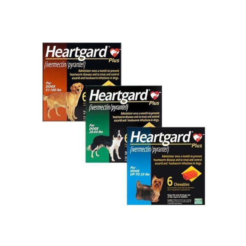 Heartgard Plus - Boehringer
