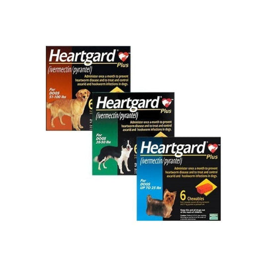 Heartgard Plus - Boehringer
