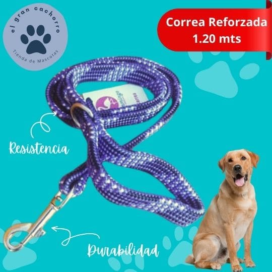 Correa reforzada 1.20 mts varios estilos