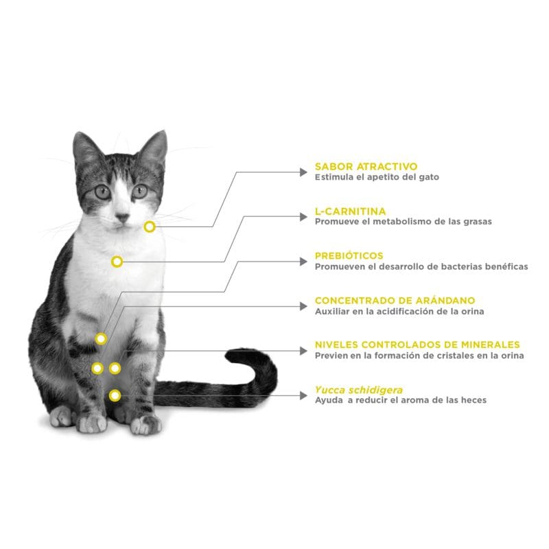 Nupec - Felino Urinary Management