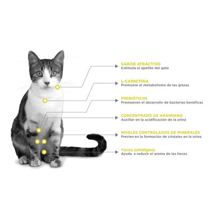 Nupec - Felino Urinary Management