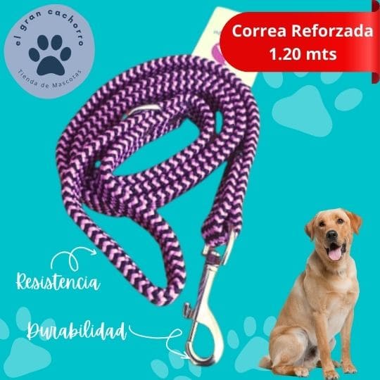 Correa reforzada 1.20 mts varios estilos