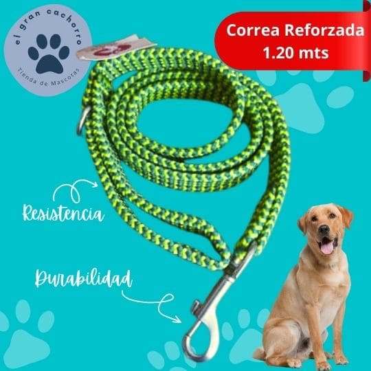 Correa reforzada 1.20 mts varios estilos